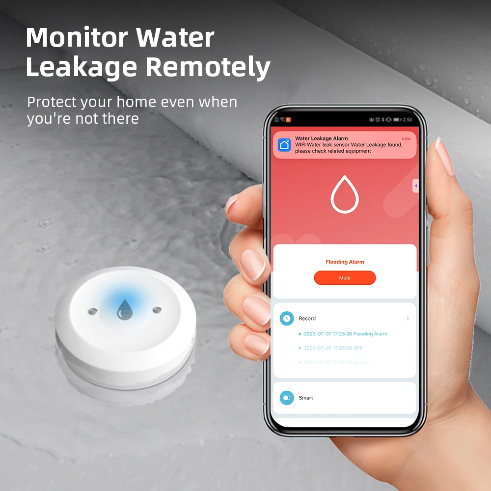 Smart Home Setup - Détecteur de fuite d'eau Zigbee pour