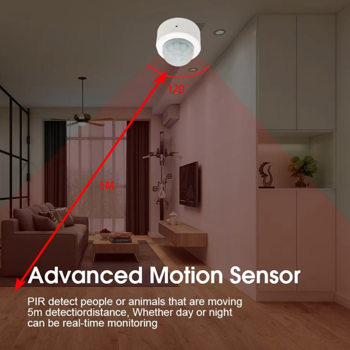 Capteur de mouvement PIR Zigbe - Pir Motion Sensor avis et prix