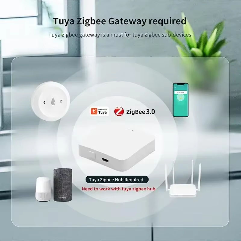 Détecteur de fuite d'eau intel - Smart Home Setup avis et prix