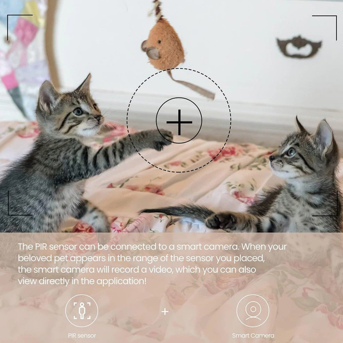 Capteur de mouvement PIR ZigBe - Pir Motion Sensor avis et prix